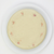 A poppy seed cake with a marzipan topping with small scattered red and green sprinkles, presented on a white plate against a clean white background.